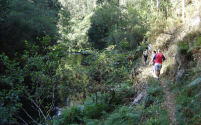 Ruta Morgallón / Río Sor / Morgallón (O Vicedo)